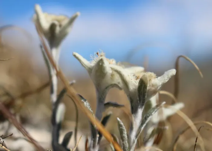 Apartman Haus Zegg *