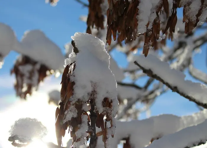 Apartman Haus Zegg *