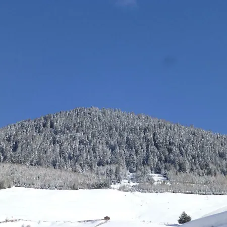 Apartament Haus Zegg *