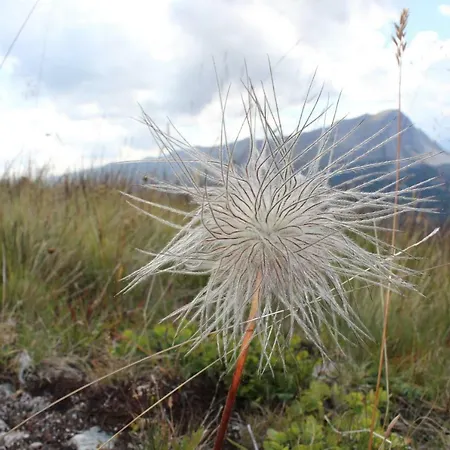 Haus Zegg Apartament